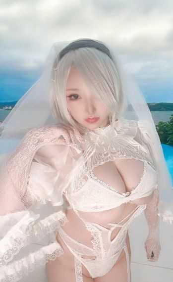 恶狗帮_DVD高清电影在线