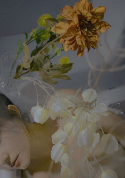 暴劫柔情完整版剧情_高清手机在线看
