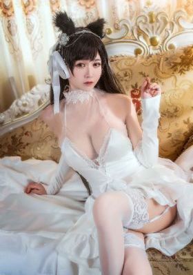 噼里啪啦国语在线_蓝光超清在线观看